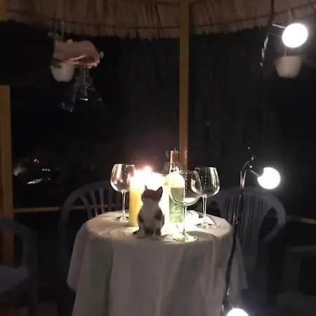 Casa vacanze Summer House - For 5 People In 2nd Floor *