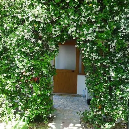 Summer House - For 5 People In 2nd Floor Casa vacanze Velipojë
