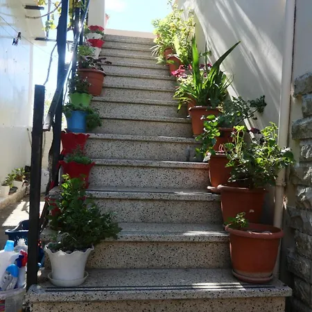 Summer House - For 5 People In 2nd Floor Hébergement de vacances Velipojë